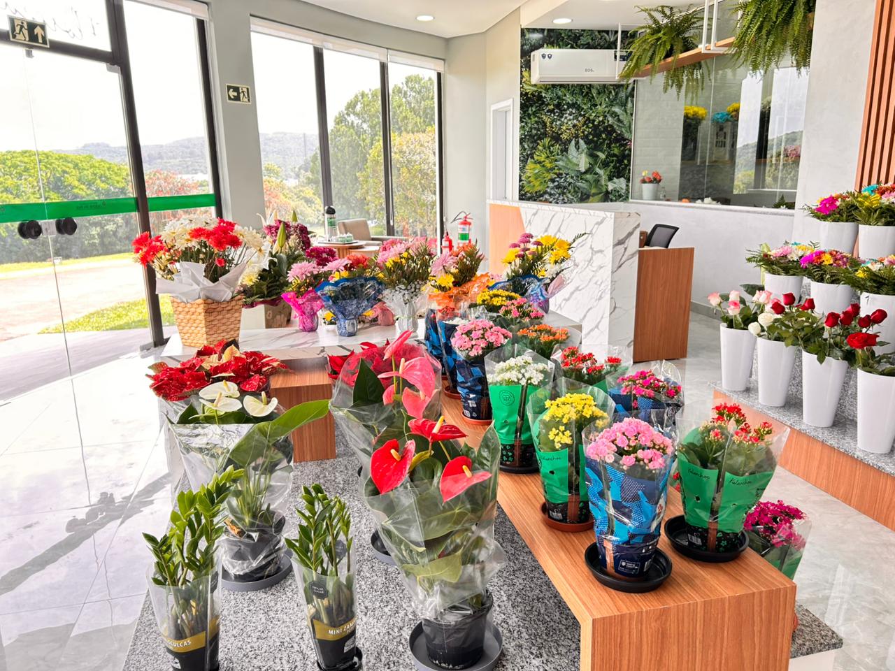 WhatsApp Image 2025-10-25 at 16.37.21