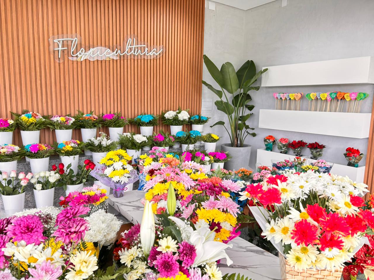 WhatsApp Image 2025-10-25 at 16.37.22 (1)