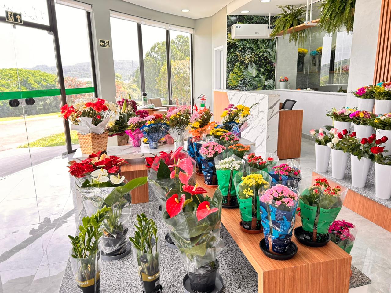 WhatsApp Image 2025-10-25 at 16.37.22