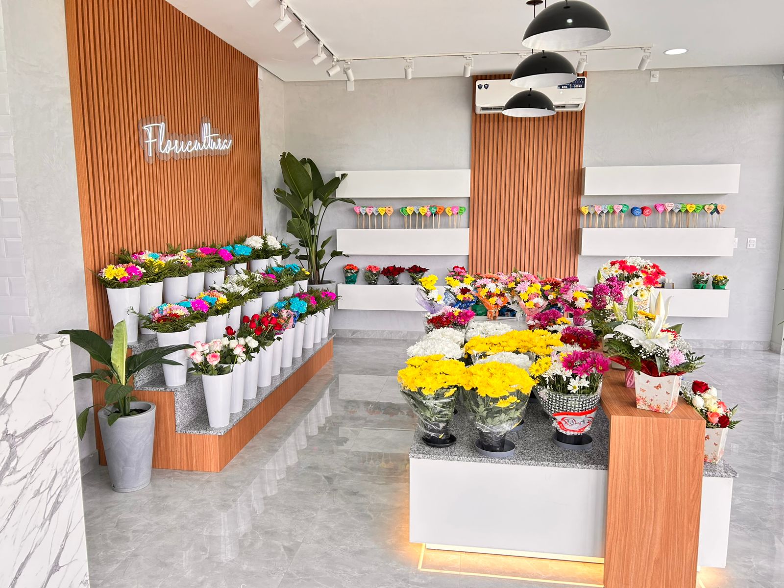 WhatsApp Image 2025-10-25 at 16.37.24 (3)